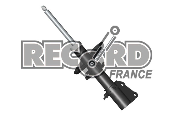 RECORD FRANCE 104651