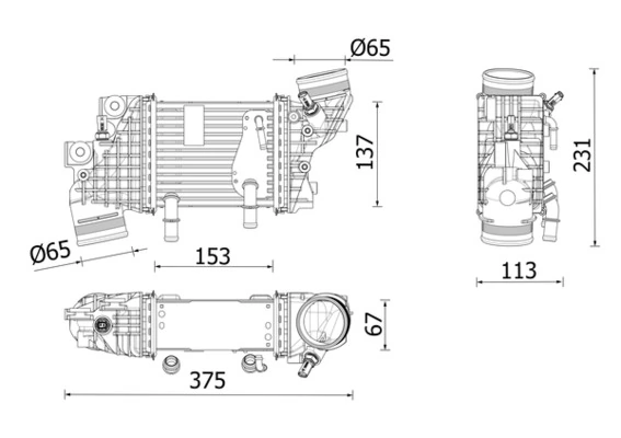 Mahle CI663000P