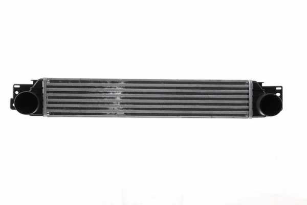 Mahle CI390000S