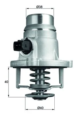 Mahle TM27101
