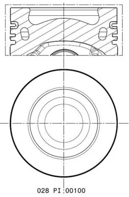 Mahle 028PI00100001