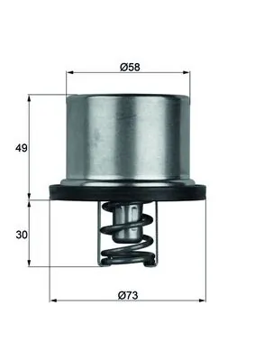 Mahle THD179