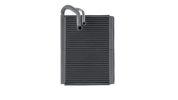 Mahle AE222000S