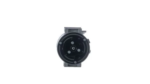 Mahle ACP319000S