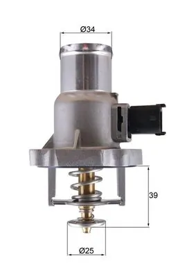 Mahle TM55105