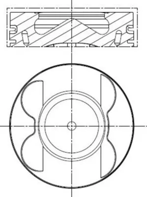 Mahle 001PI00178000