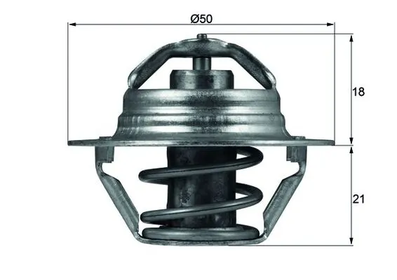 Mahle TX10089D