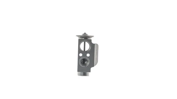 Mahle AVE204000S