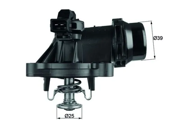 Mahle TM18105