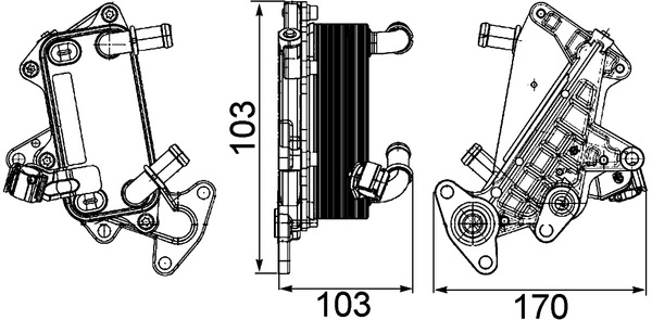 Mahle CLC25000P