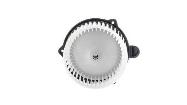 Mahle AB221000P