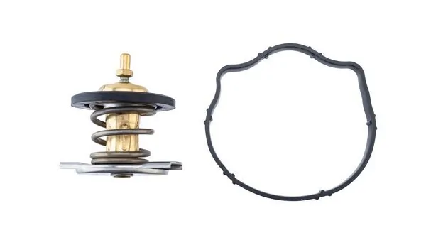 Mahle TX49487D