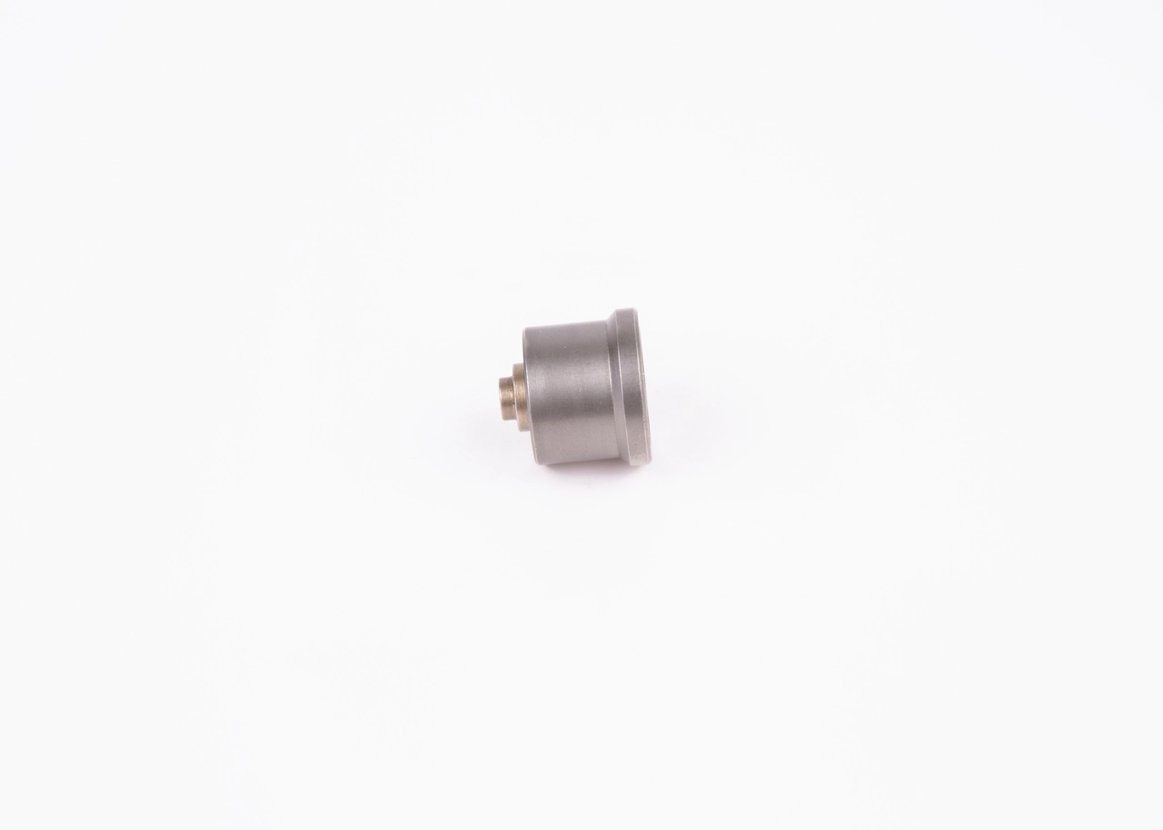 BOSCH 2418554059