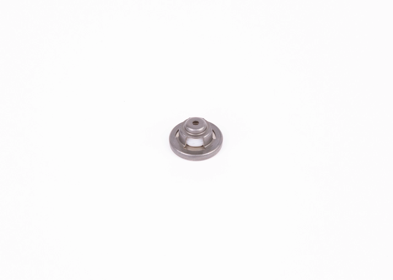 BOSCH 2447419002