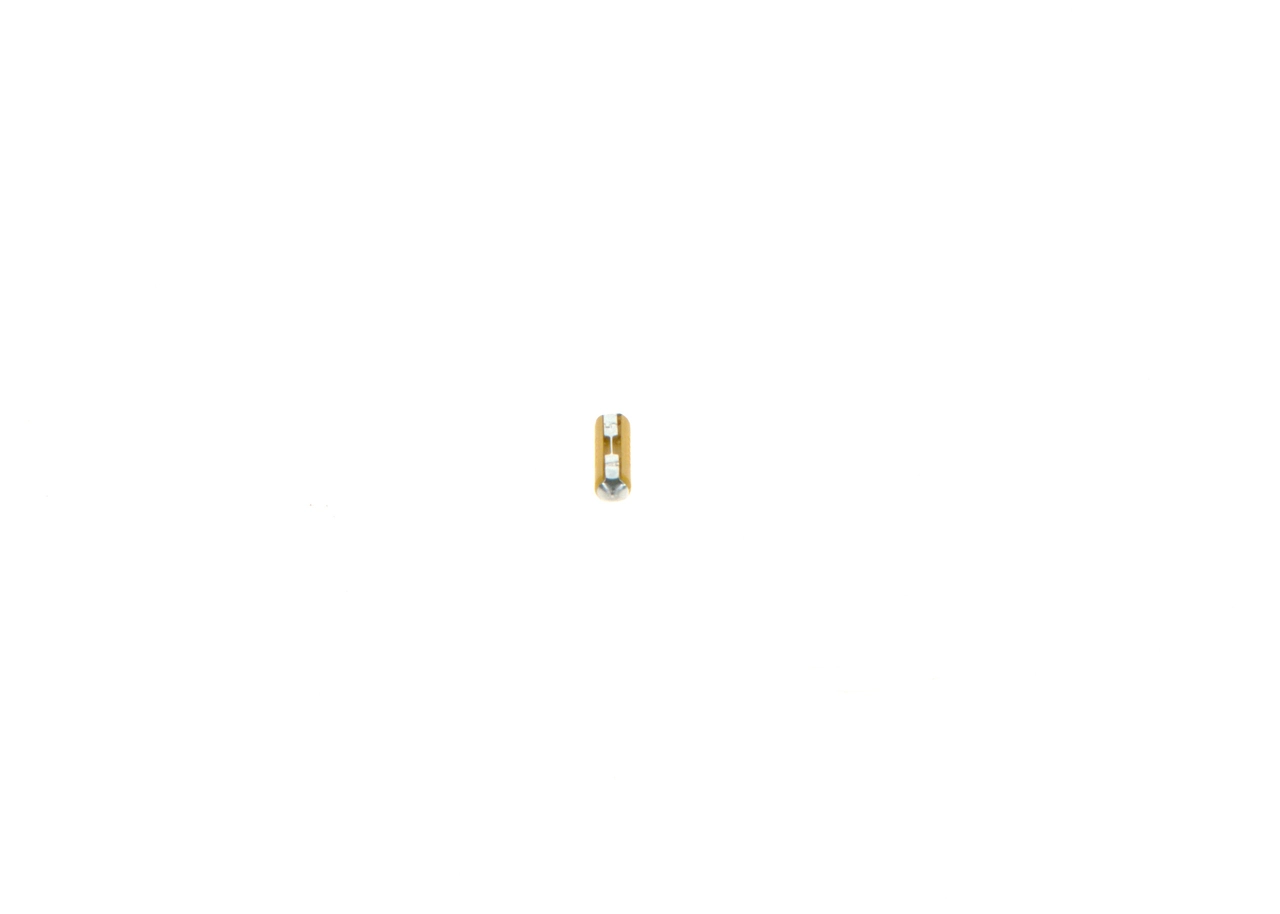 BOSCH 1904520015