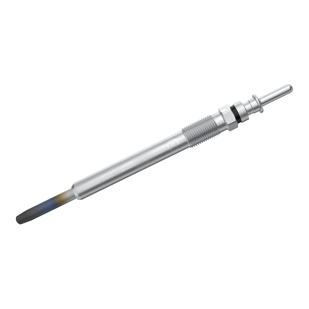 BOSCH 0250202042