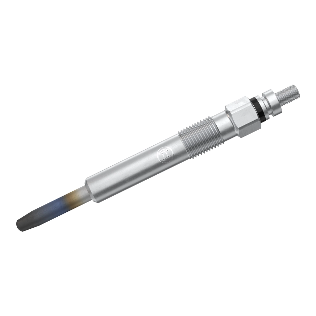 BOSCH 0250202131