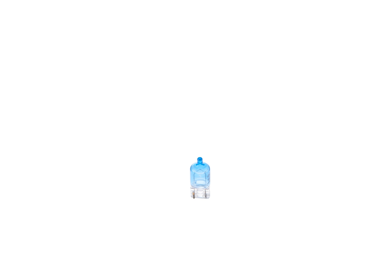 BOSCH 1987301098