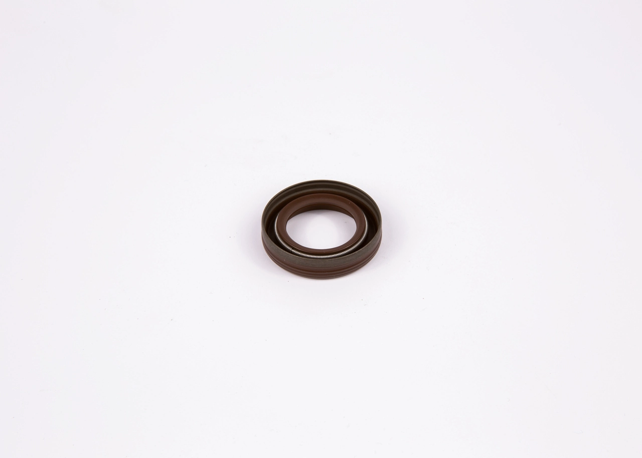 BOSCH F00R0P0253