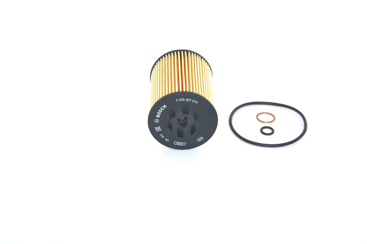 BOSCH F026407010