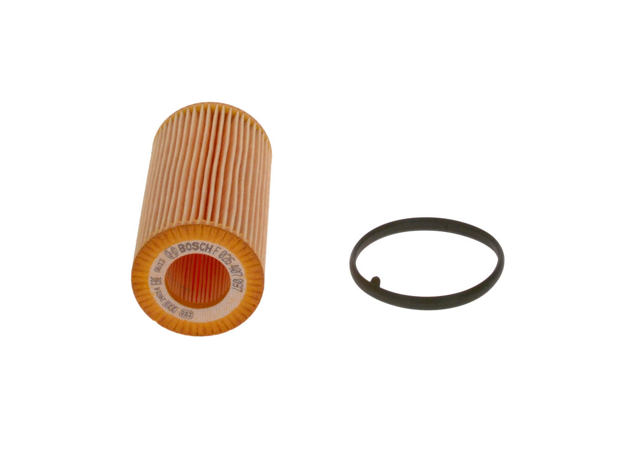 BOSCH F026407097
