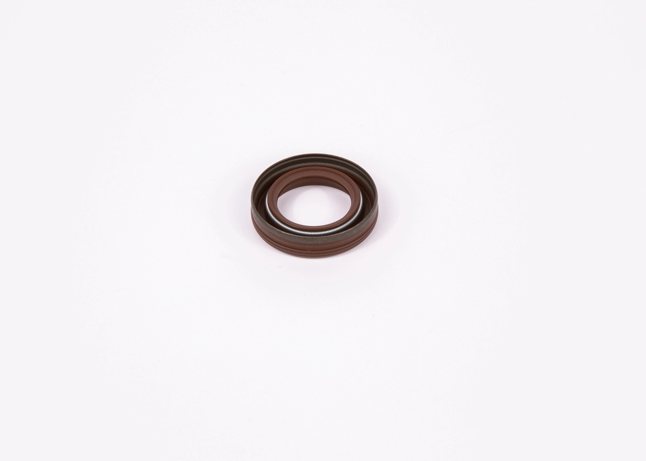 BOSCH F01M100984