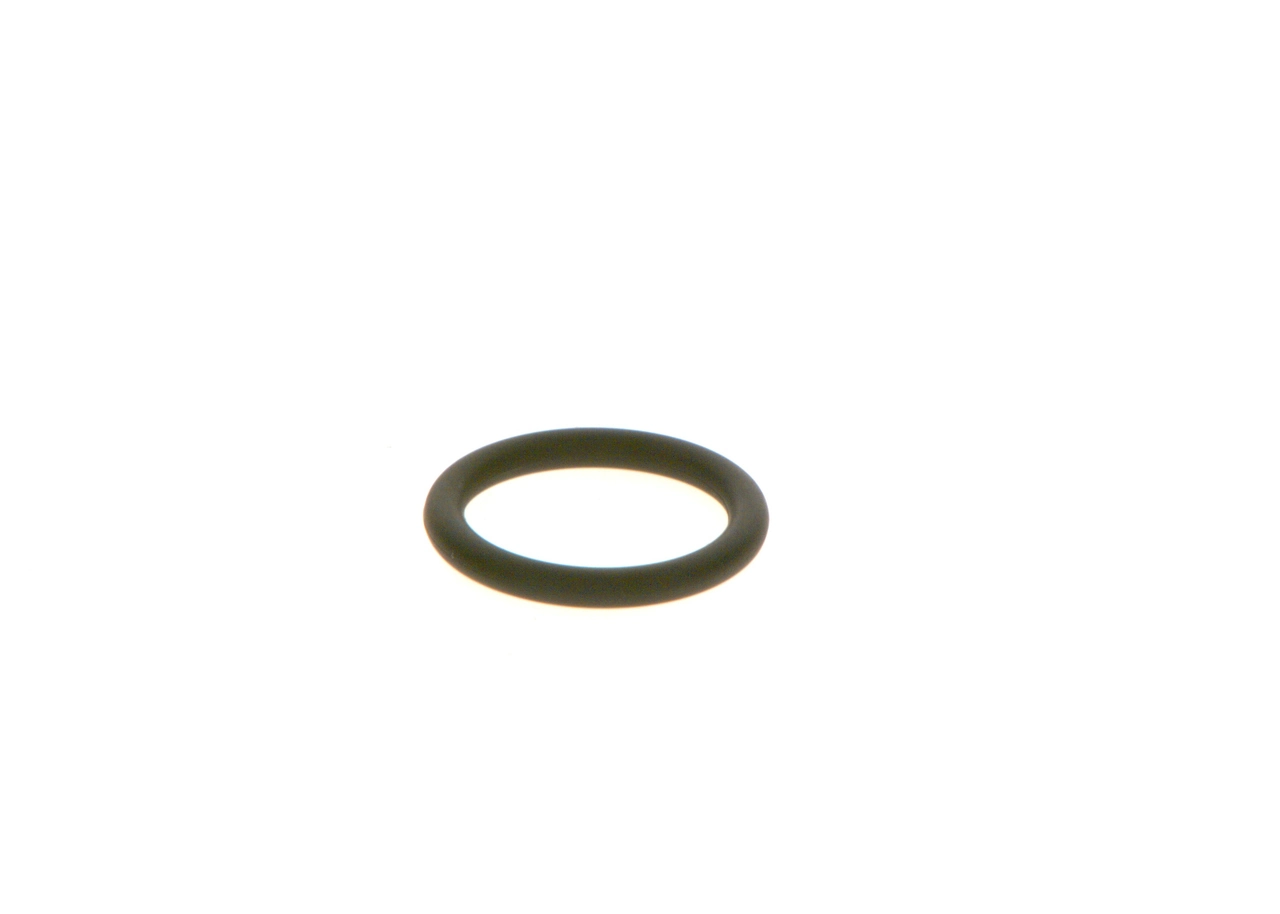 BOSCH F00RJ01605