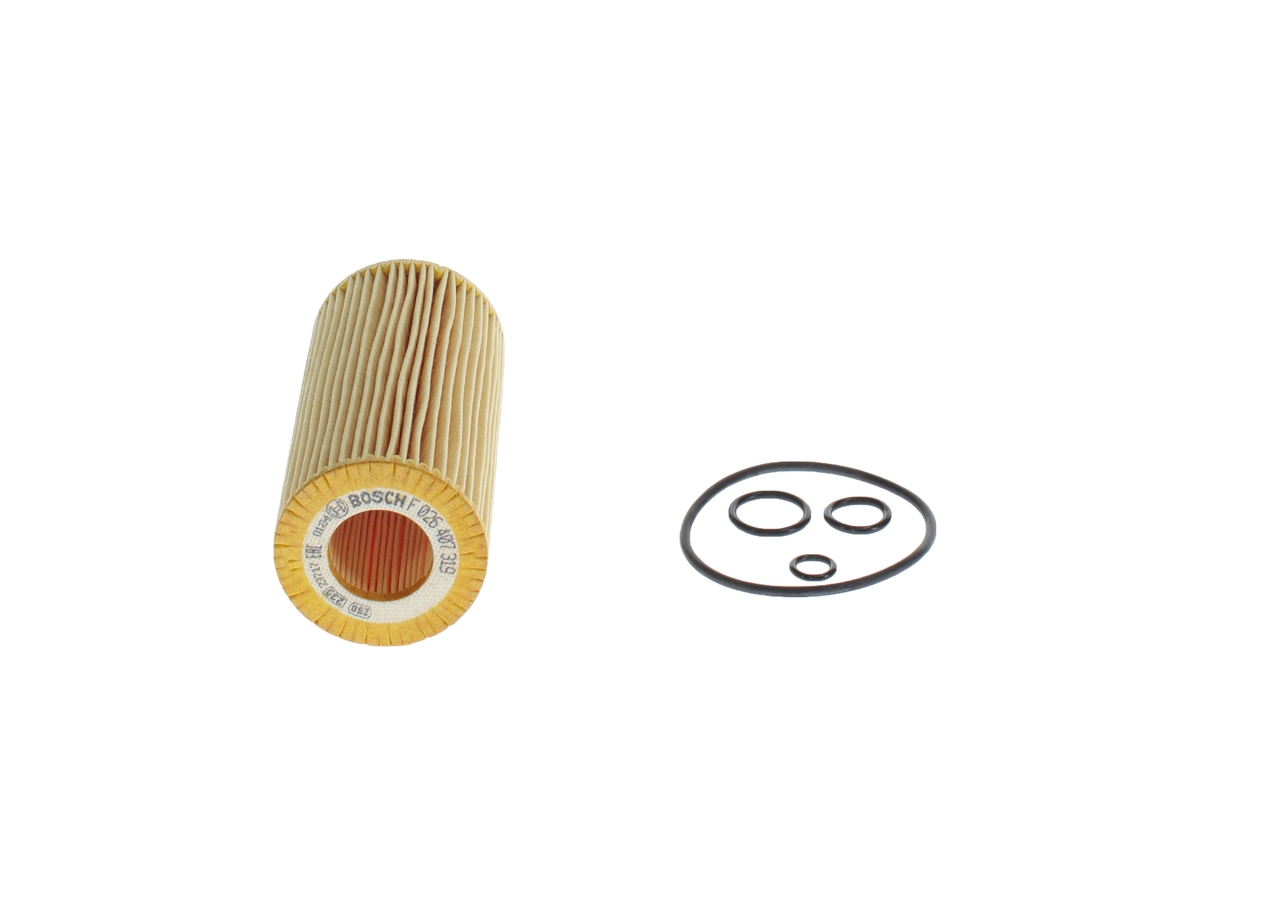 BOSCH F026407319