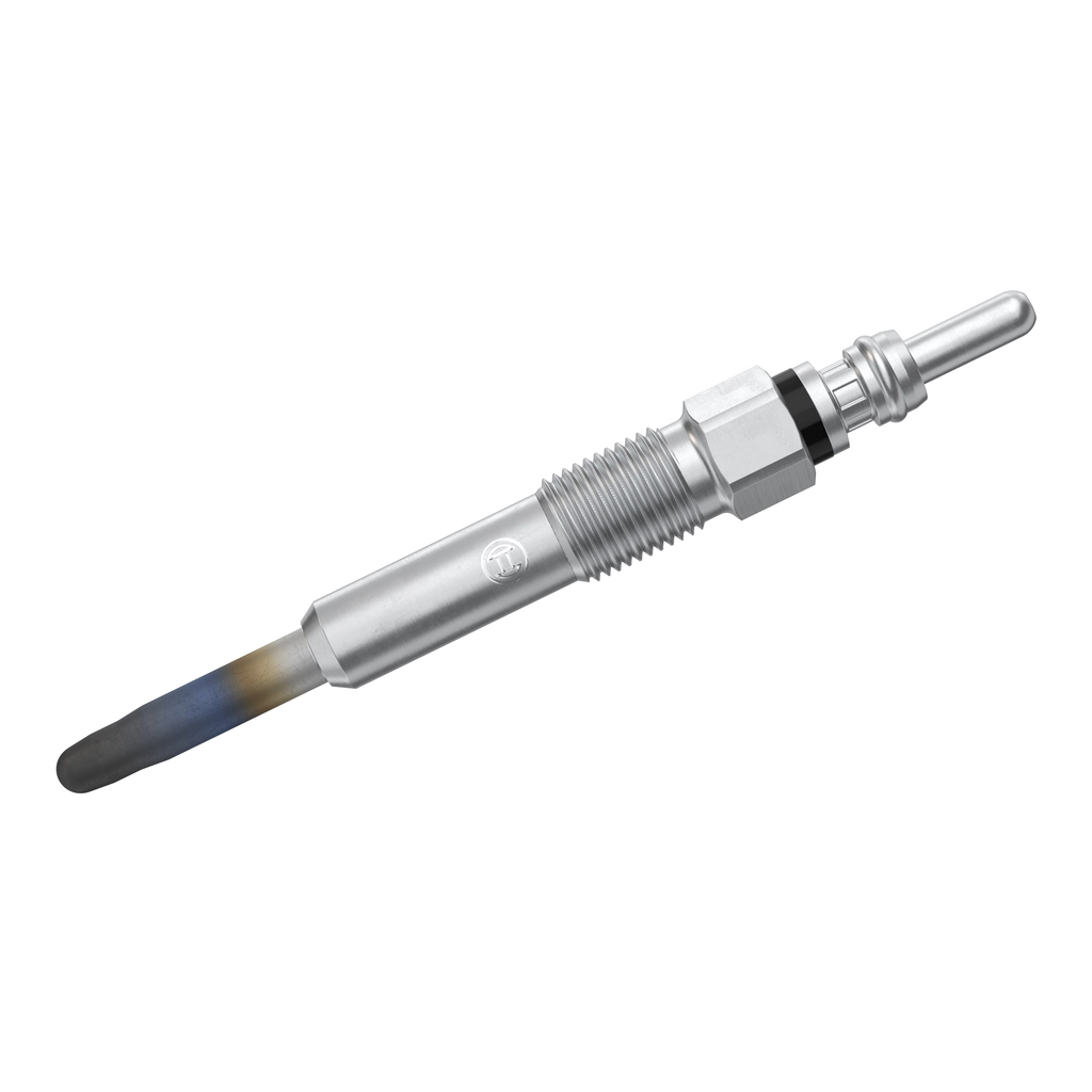 BOSCH 0250212009