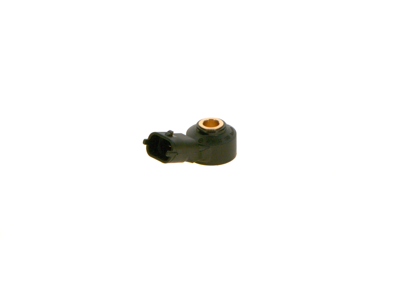 BOSCH 0261231173