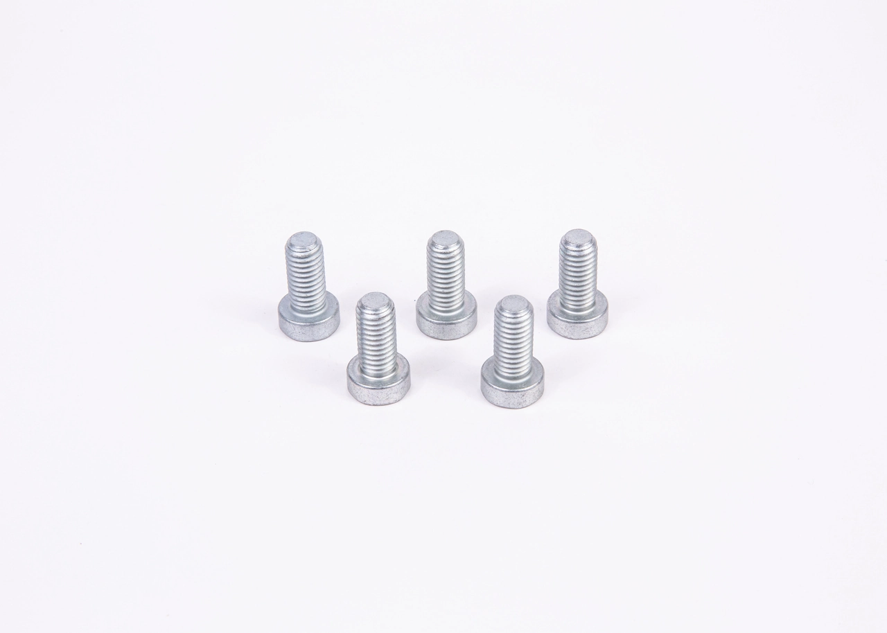 BOSCH F01M100684