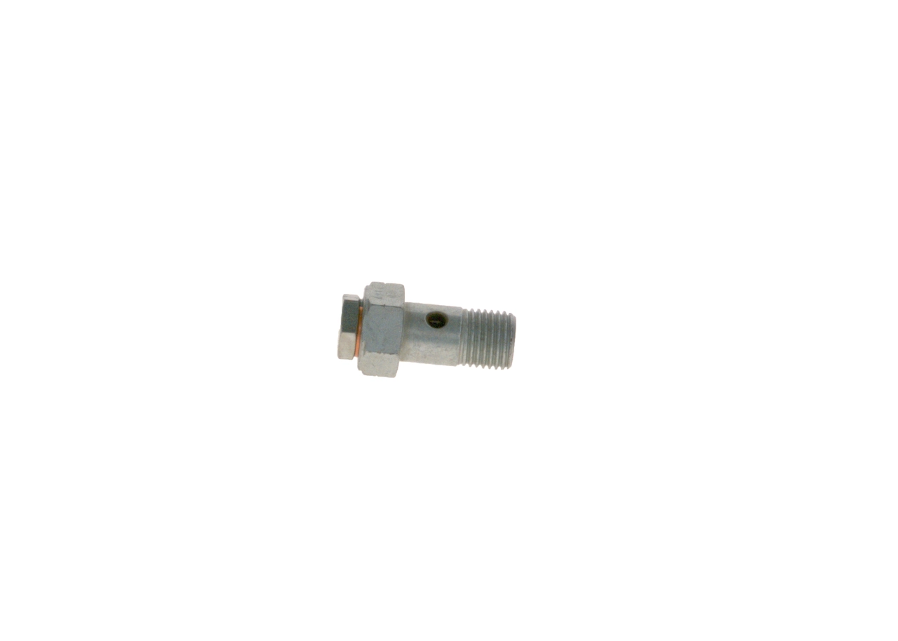 BOSCH 2417413101