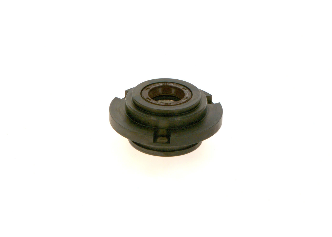 BOSCH F01M101215