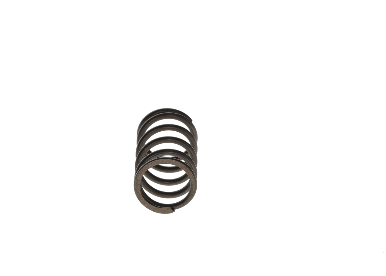 BOSCH F00R0P1447