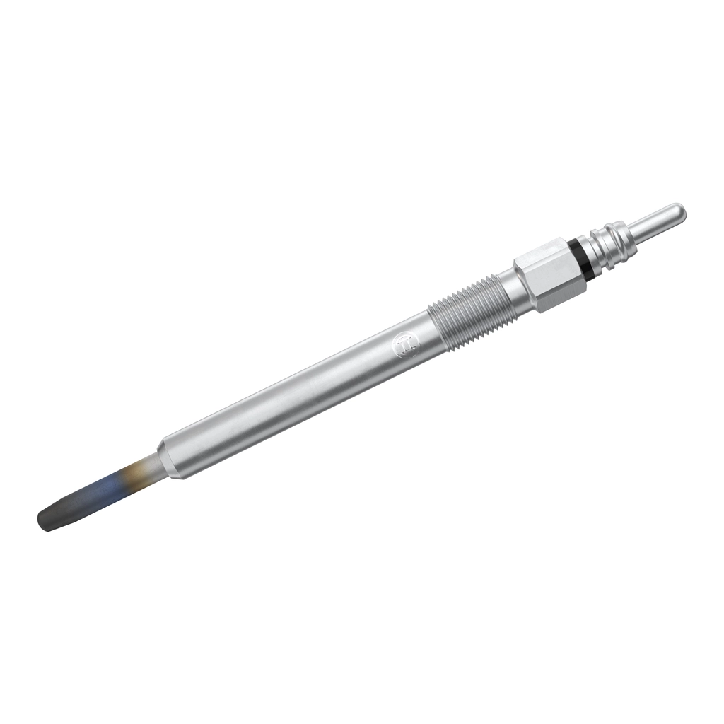 BOSCH 0250202038