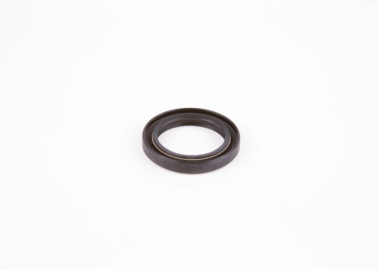 BOSCH 2410283010