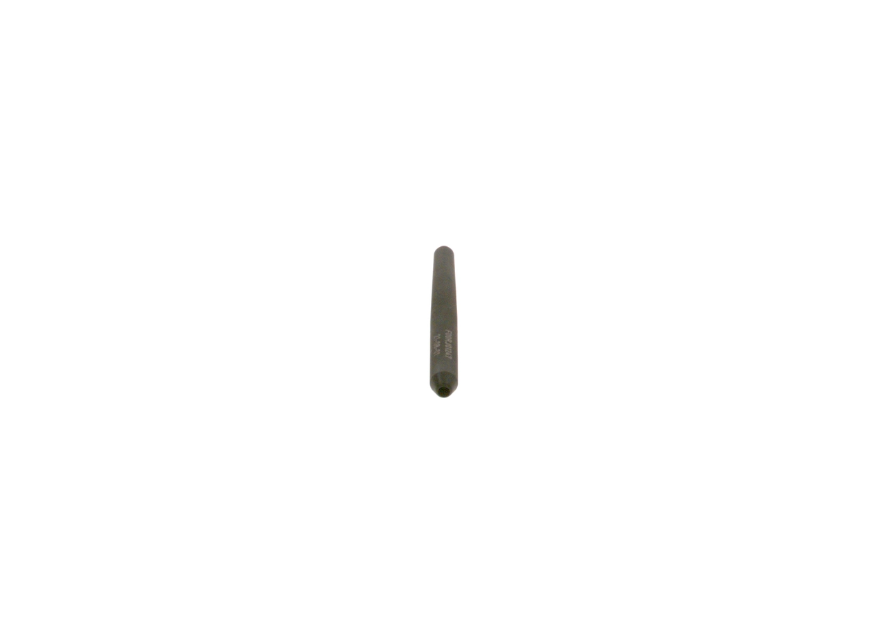 BOSCH F00RJ01247
