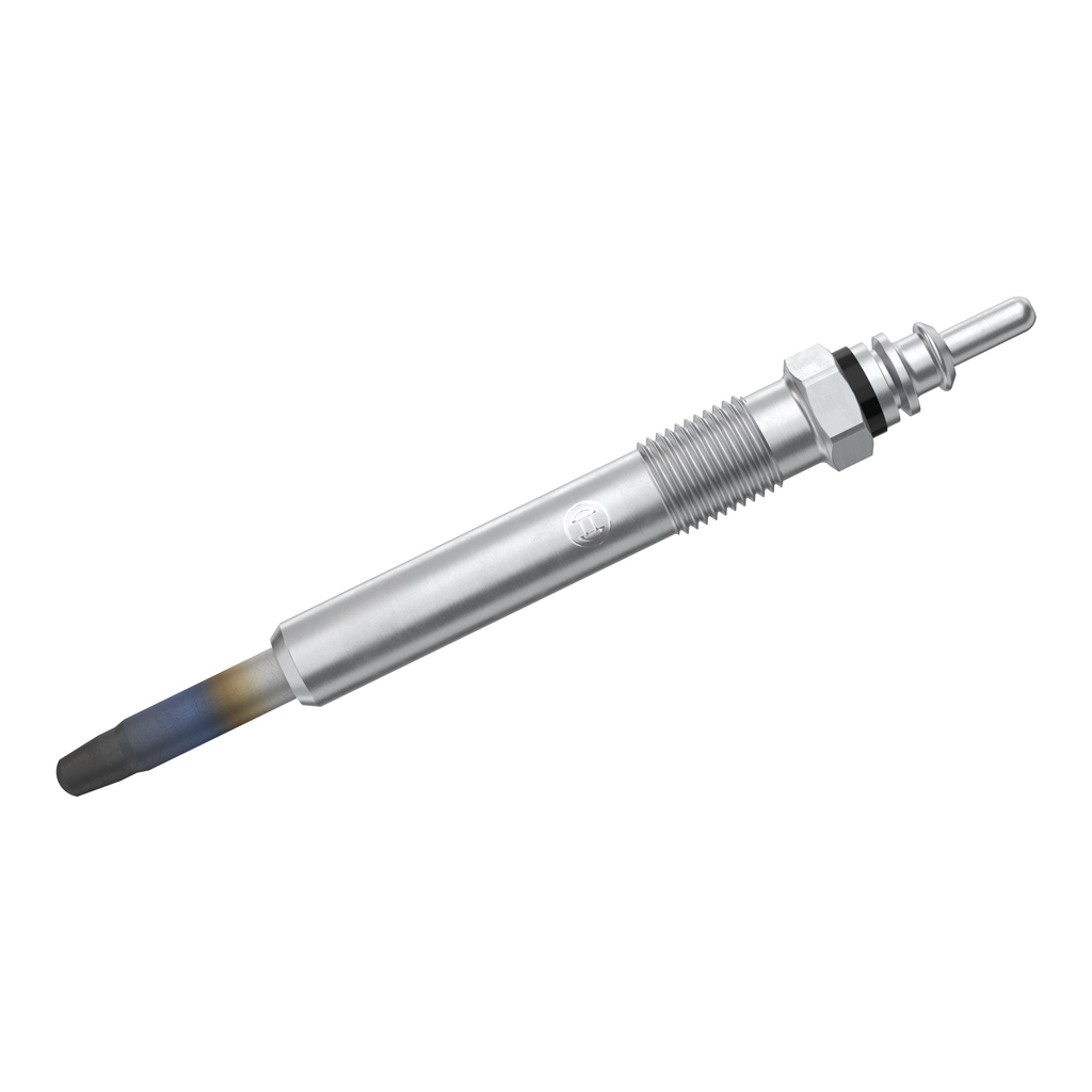 BOSCH 0250201054