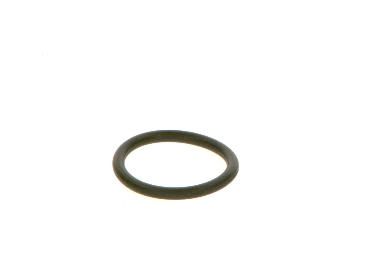 BOSCH F00RJ01728