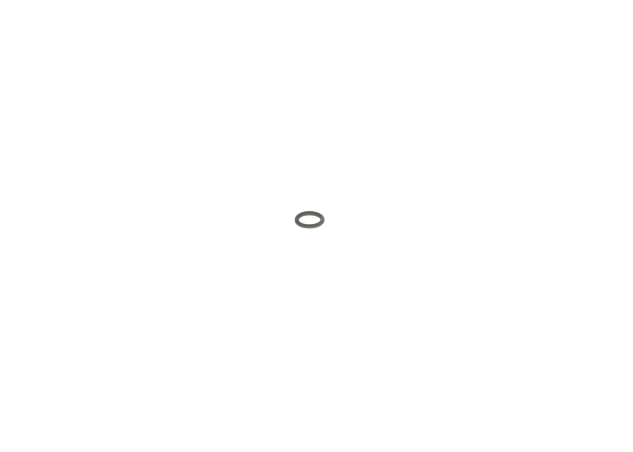 BOSCH 2440210010