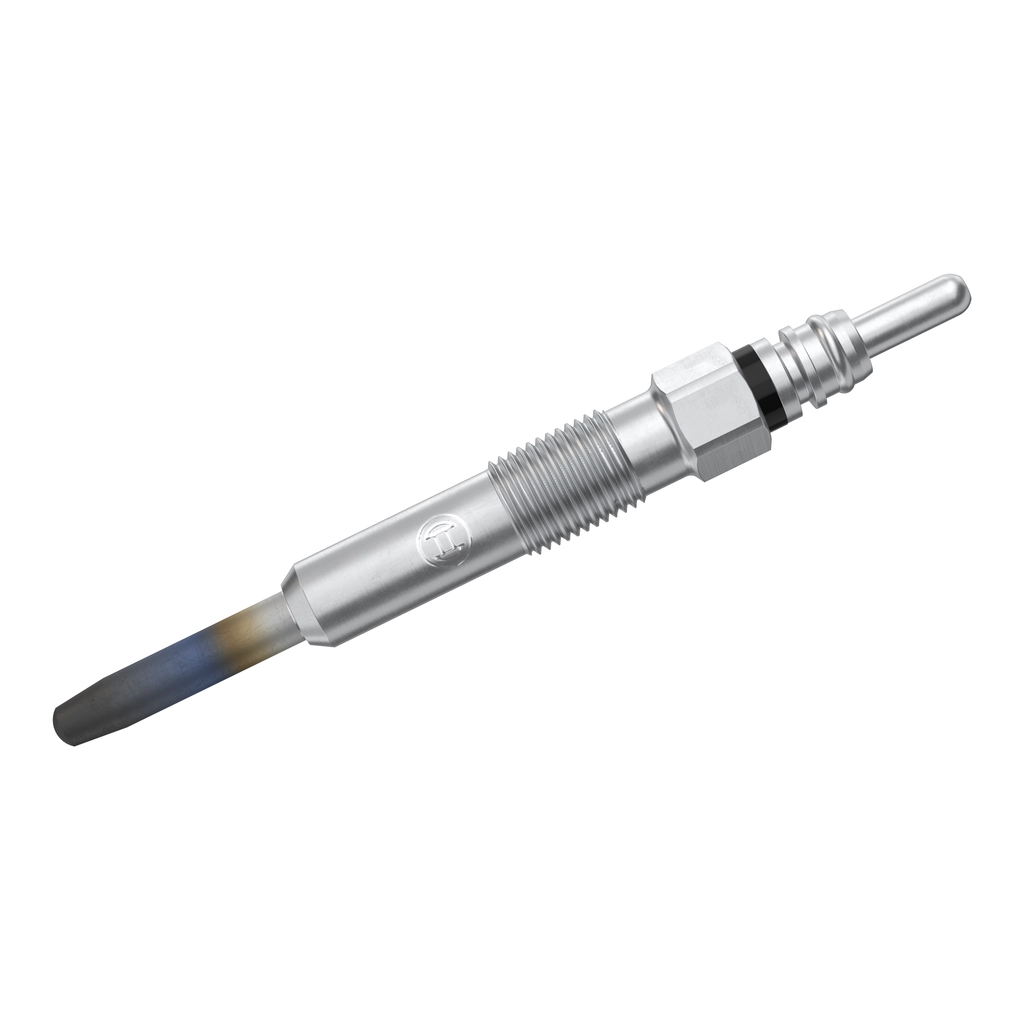 BOSCH 0250202022