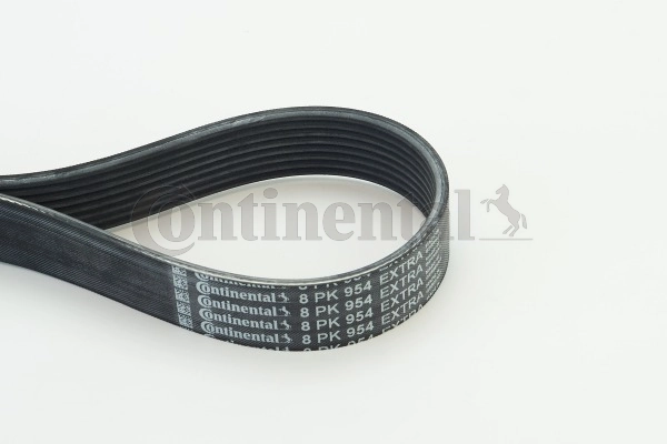 Continental 8PK954EXTRA
