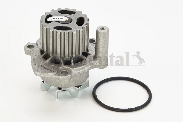 Continental WP6001