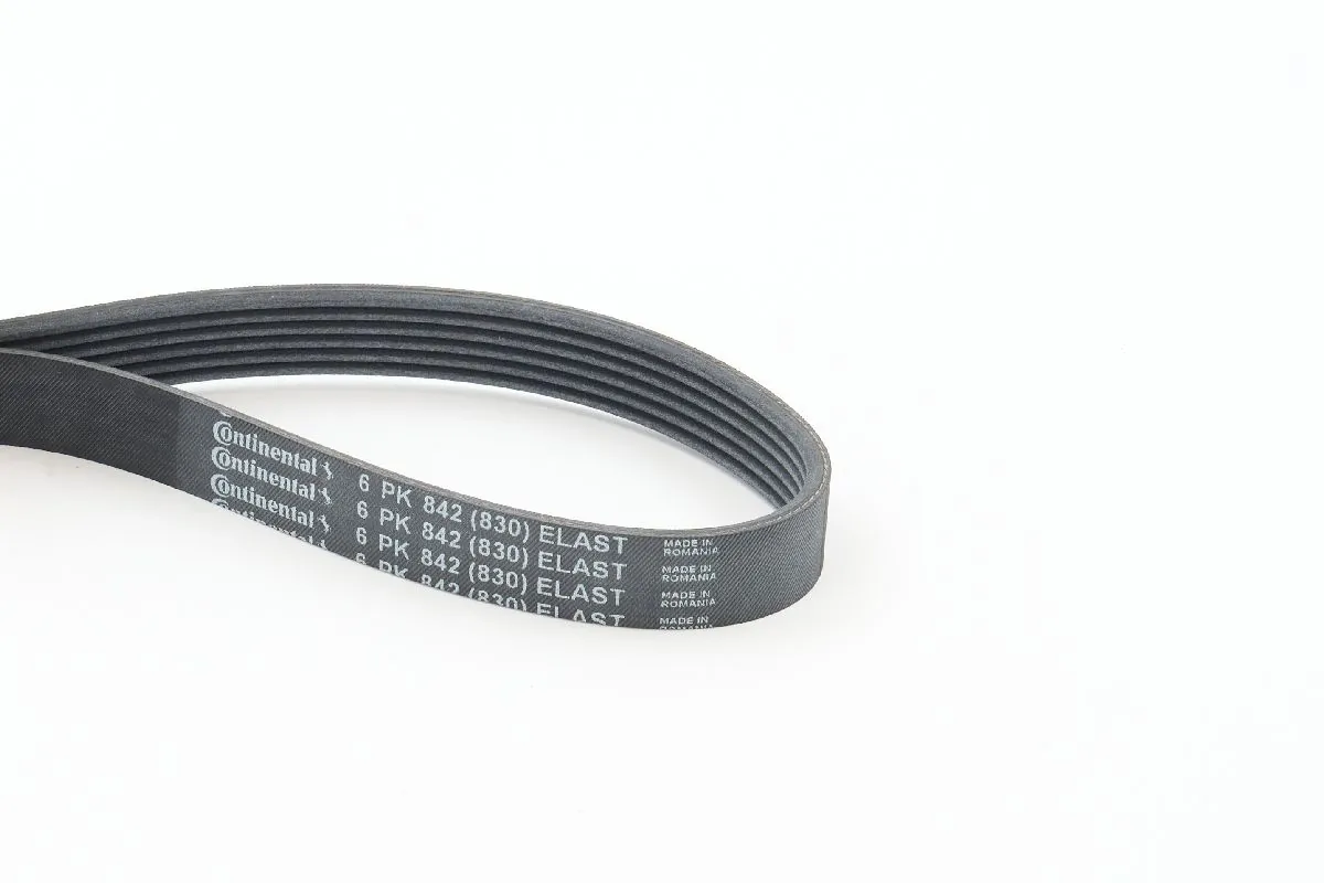 Continental 6PK842ELAST