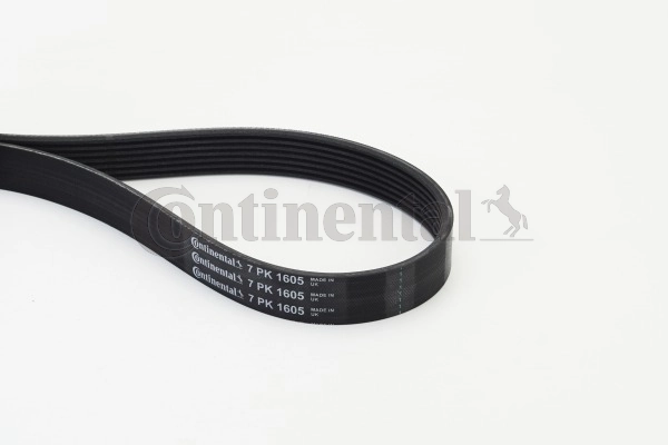 Continental 7PK1605