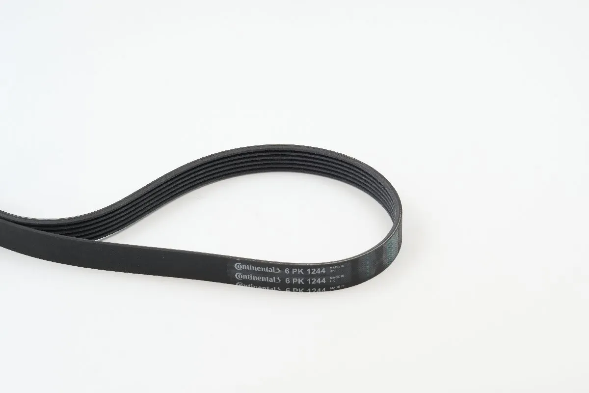 Continental 6PK1244