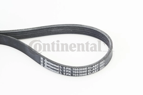 Continental 5PK705ELAST