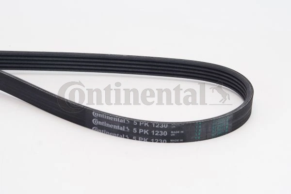 Continental 5PK1230