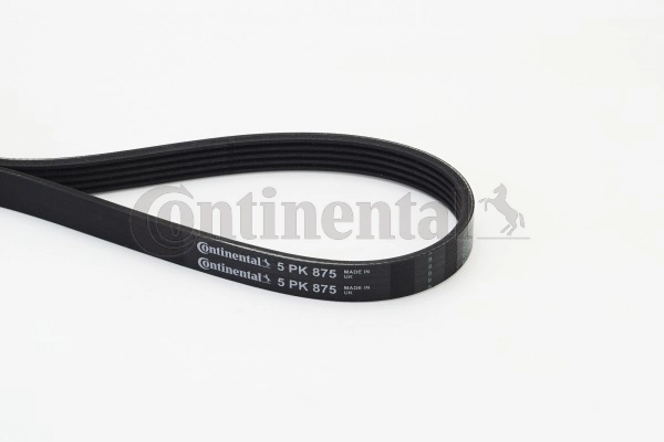 Continental 5PK875
