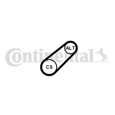 Continental 6PK701ELAST